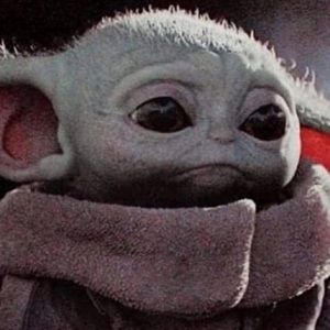 Meet your Posher, Opal